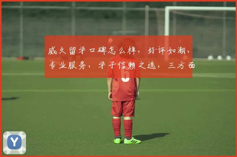 威久留学口碑怎么样，好评如潮，专业服务，学子信赖之选，三方面亮点突出